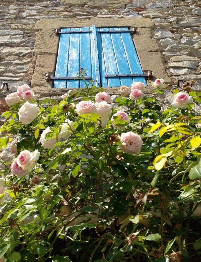 L'Autre Maison Saint-Jean-de-Ceyrargues Экстерьер фото